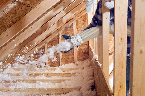 Best Batt and Roll Insulation  in Poplar Grove, IL